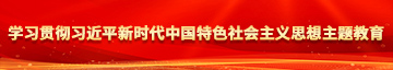 亚洲中文字幕人妻学习贯彻习近平新时代中国特色社会主义思想主题教育